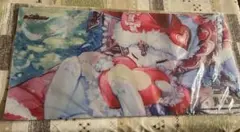 デュエマ　ファンフェスティバル　眠りの森のメイ様　プレイマット　ジャッジプレマ