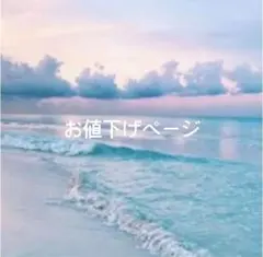 お値下げページ【本日中のみ】