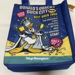 パルパルーザ　ドナルドのクワッキーダックシティ　スーベニアランチケース