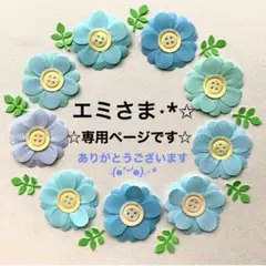 エミ様⋆*✩専用ページです(*ᴗ͈ˬᴗ͈)ꕤ*.゜