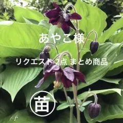 あやこ様 リクエスト 2点 まとめ商品