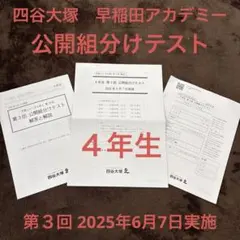 2025年最新】四谷大塚 組分けテスト 6年の人気アイテム - メルカリ
