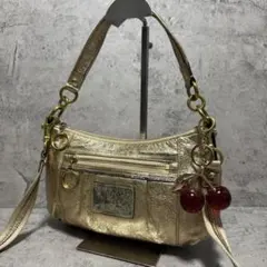 Coach Metallic Poppy One Shoulder Bag