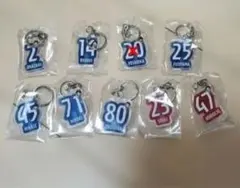 ブラウブリッツ秋田　ガチャガチャ　キーホルダー　８個