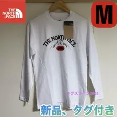 新品ノースフェイス L/S 1966 Graphic TeeロンT長袖TシャツM