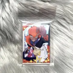 ポケモンex／キバナ