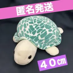 値下げ 金目鯛 まぐろ ぬいぐるみ ハッピーマリン 2個セット - メルカリ