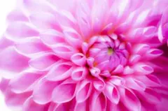 jungof様 リクエスト 3点 まとめ商品