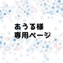 あうる様専用ページ