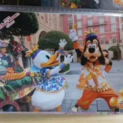 スペシャルフォト  トロスプ