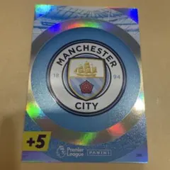 マンチェスターシティ panini