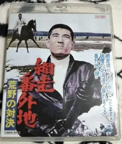 Item thumbnail for item 82a1bd09-7c93-4828-b5f7-c9584d8aa774