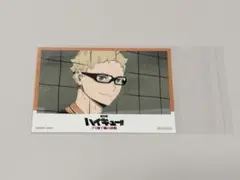 劇場版 ハイキュー!! ゴミ捨て場の決戦 ドリンク 特典 ステッカー　月島蛍