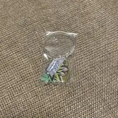 ポケモンZA サントラ特典 アクリルチャーム付きワイヤーキーリング　新品
