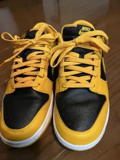 Nike Dunk Low Retro 27.5cm