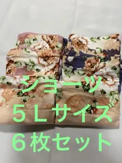 レディースショーツ5L サイズ６枚 肌着　アンダーウェア
