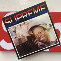 Supreme ステッカー フォトデザイン非売品希少