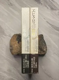 2026年最新】澁澤龍彦の人気アイテム - メルカリ