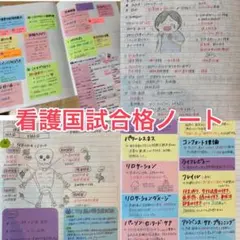 看護師国試対策ノート　付箋ノート　合格ノート　カラーコピー&CD‐R