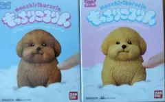 もっちりころりんおいぬのサムネイル