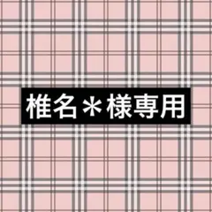 椎名＊様専用