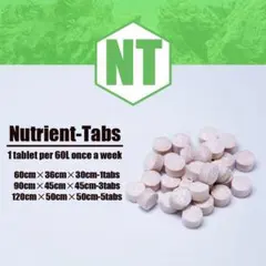 坂本伊知孝様 リクエスト 2点 まとめ商品