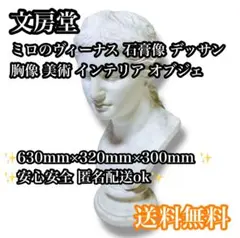 ミロのヴィーナス（面取）石膏像 60cm 美大デッサン用 状態良好 - メルカリ
