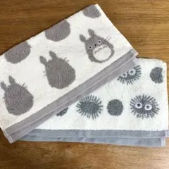 【新品未使用】ジブリとなりのトトロ2枚厚手タオル　約35㎝✖️約32㎝