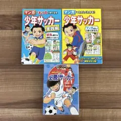 希少セル版DVD【ファンキーモンキーティーチャー1＋3＋新】飯島愛19歳