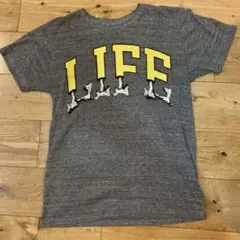 Item thumbnail for item 3898691f-1ed9-4acd-9fd3-70279247698e