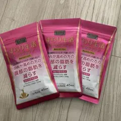 2026年最新】すらり生活ブラックジンジャーの人気アイテム - メルカリ