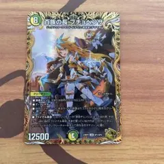 2026年最新】百族の長 プチョヘンザ シクの人気アイテム - メルカリ