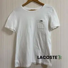 LACOSTE ホワイト 半袖Tシャツ 38