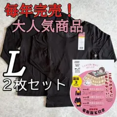 レディース 裏起毛 L 2枚組 あったか 長袖 インナー 3カ所 ボア付き B2