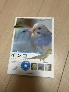 インコ - The Parakeet (初心者向け)のサムネイル