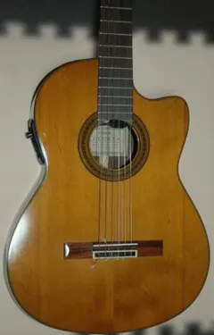 Aria A-48CE SOR FISHMAN アリア フィッシュマン ギター - メルカリ