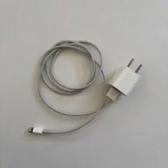 Apple 純正　Lightningケーブル 電源アダプタ セット