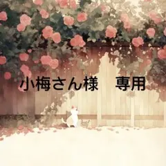 小梅さん 様　専用