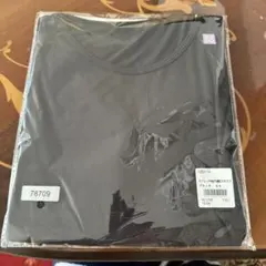 Item thumbnail for item 3f41065f-3f3c-426d-aa3f-81b2865893cb