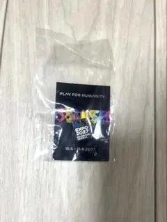 Serbia EXPO 2027 RARE レア