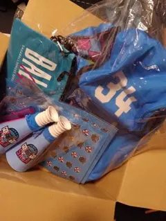 佐賀バルーナーズ リュック34井上選手 応援グッズ