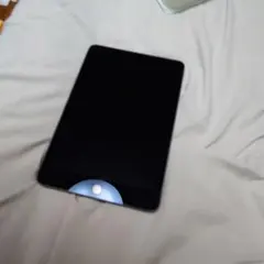 iPad mini 5 ジャンクのサムネイル