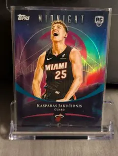 Item thumbnail for item 61762ee1-4945-4b1b-bc02-30562476bc9c