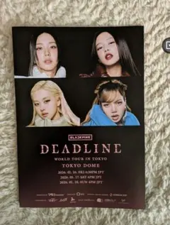 BLACKPINK WORLD TOUR IN TOKYO 26" A4カタログ