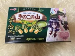 セーラープルート セーラーサターン 空箱 明治チョコレート