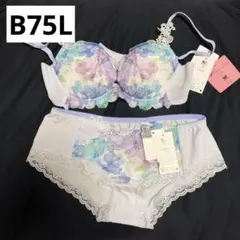 Item thumbnail for item d2f6bb9d-bc0a-4958-89b2-bd9d0424168e