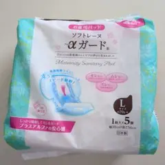 Item thumbnail for item a96105e7-1e01-466a-a2d5-10dde9b23ede