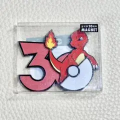 中国限定 ポケモン 30周年 炎タイプ マグネット リザード