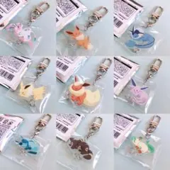 匿名配送／ポケモンスリープ／つながるアクリルチャーム／全9種コンプリートセット