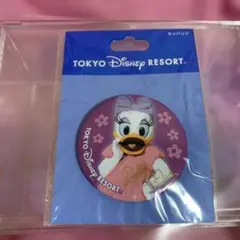 ◯ デイジー　缶バッジ　ディズニーランド　シー　実写